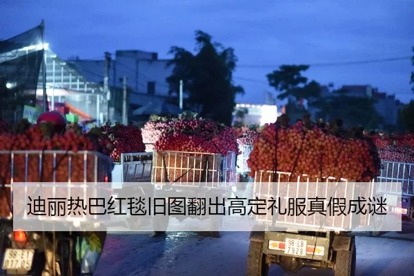 di-li-re-ba-hong-tan-jiu-tu-fan-chu-gao-ding-li-fu-zhen-jia-cheng-mi-2-862.jpg